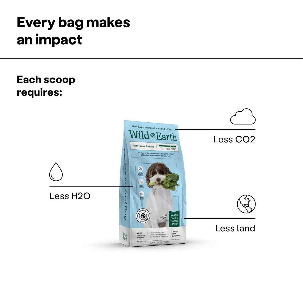 Dry Dog Food I9575