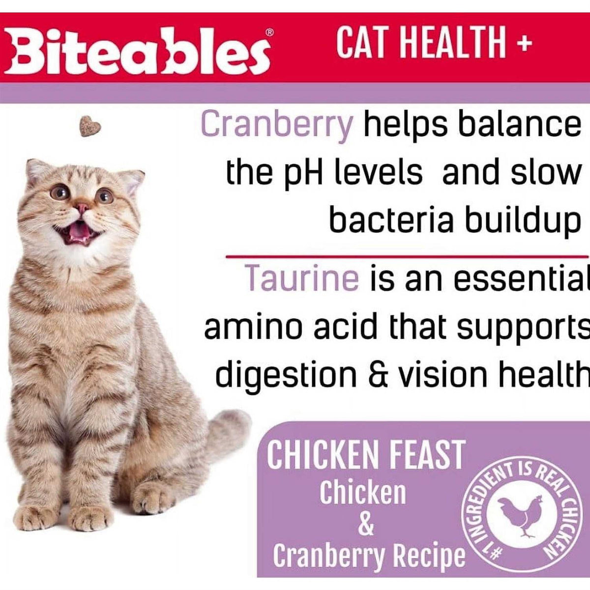Soft Cat Treats H208