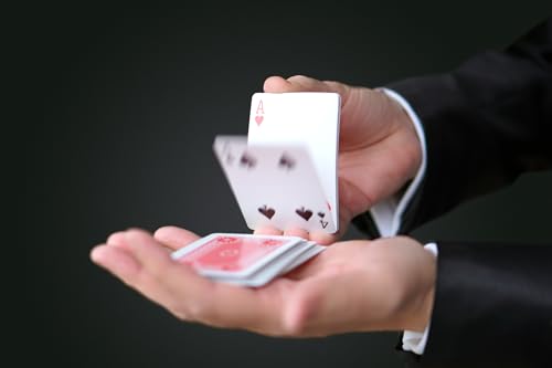 Magic Tricks Set with Magic Cards and Coins X255
