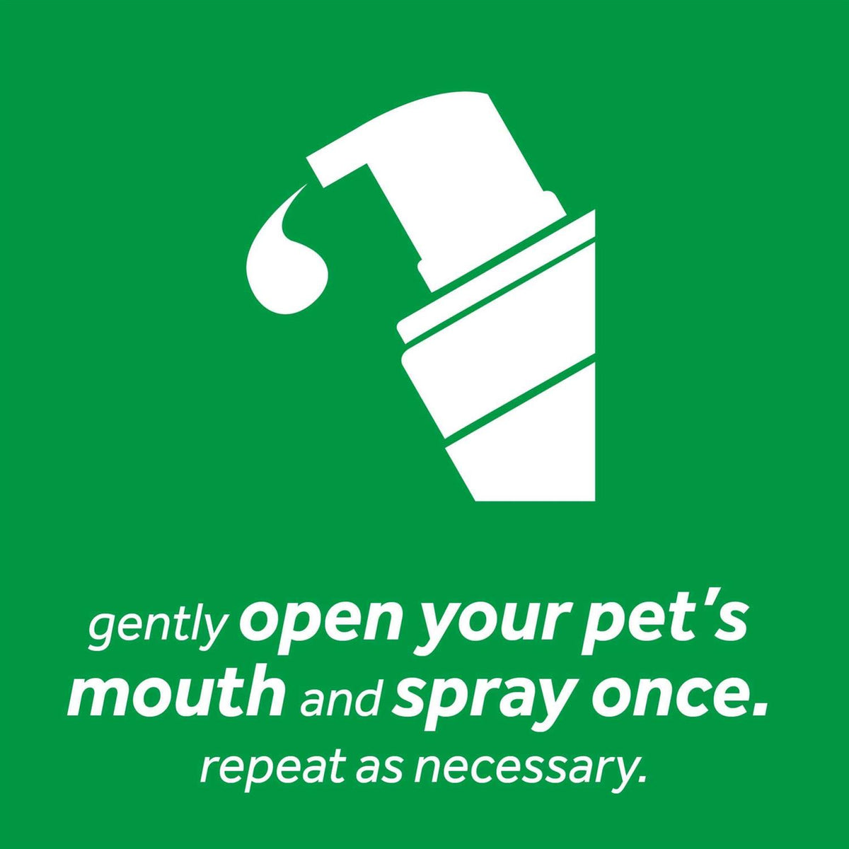 Fresh Breath Mint Foam C298259