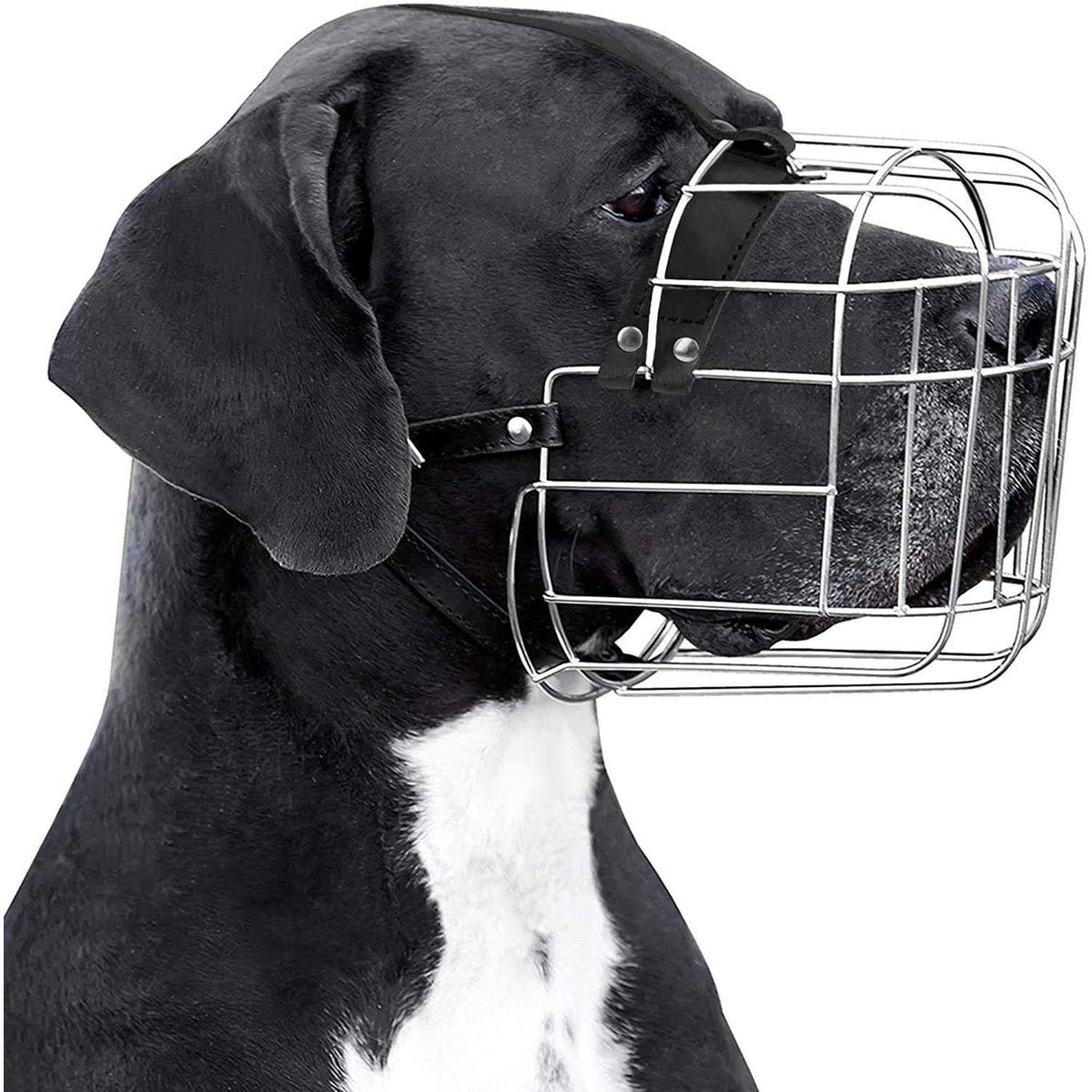 Metal Dog Muzzle Wire Basket with Leather Straps S6421