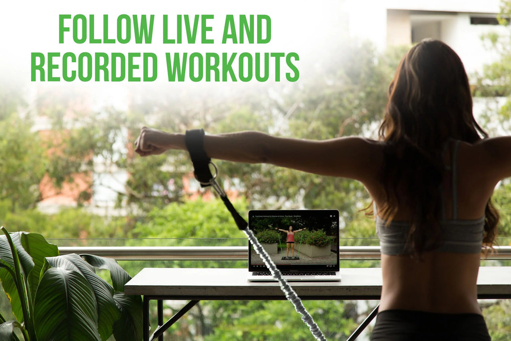 Restored Portable Home Gym 2.0 - Silver (Refurbished) G505