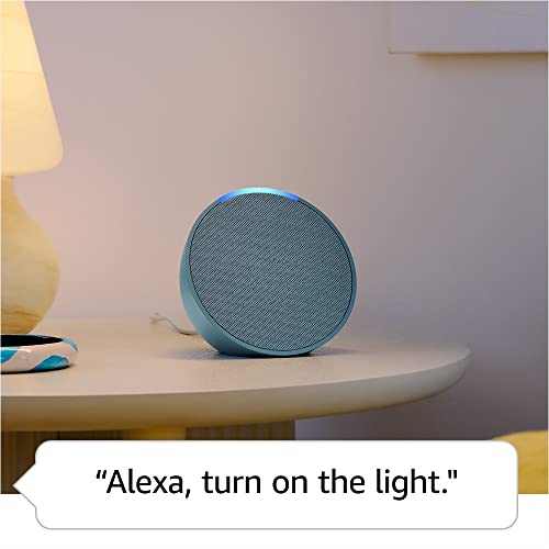 Alexa Speaker R48439