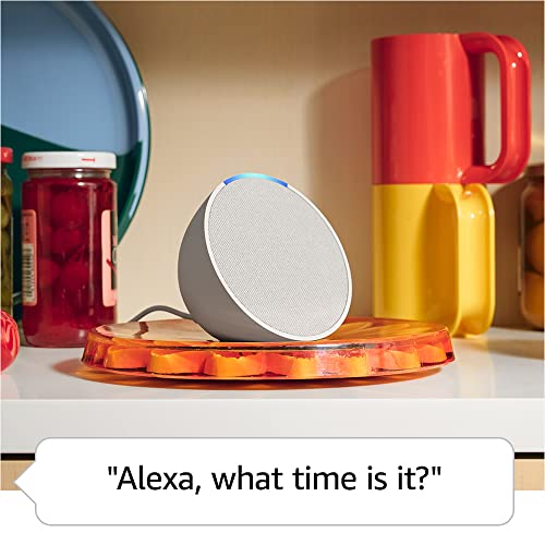 Alexa Speaker R48439