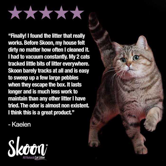 All-Natural Light-Weight Non-Clumping Cat Litter H939