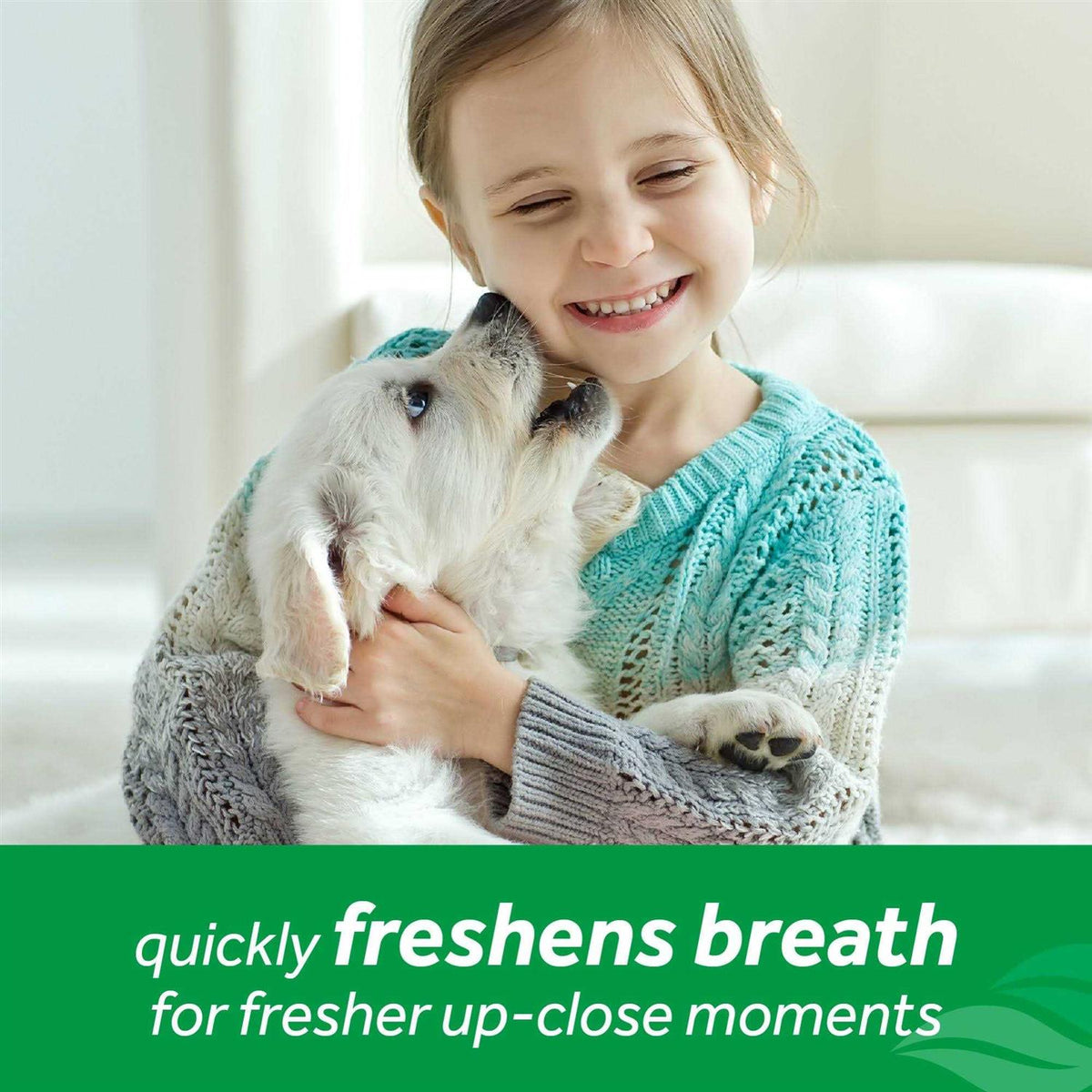 Fresh Breath Mint Foam C298259