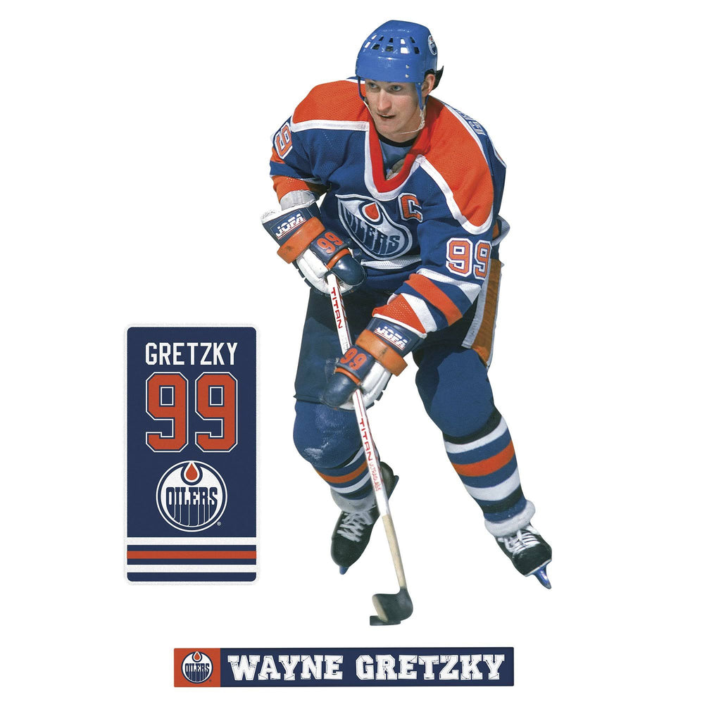 Vinyl Removable Wall Decal XL L441