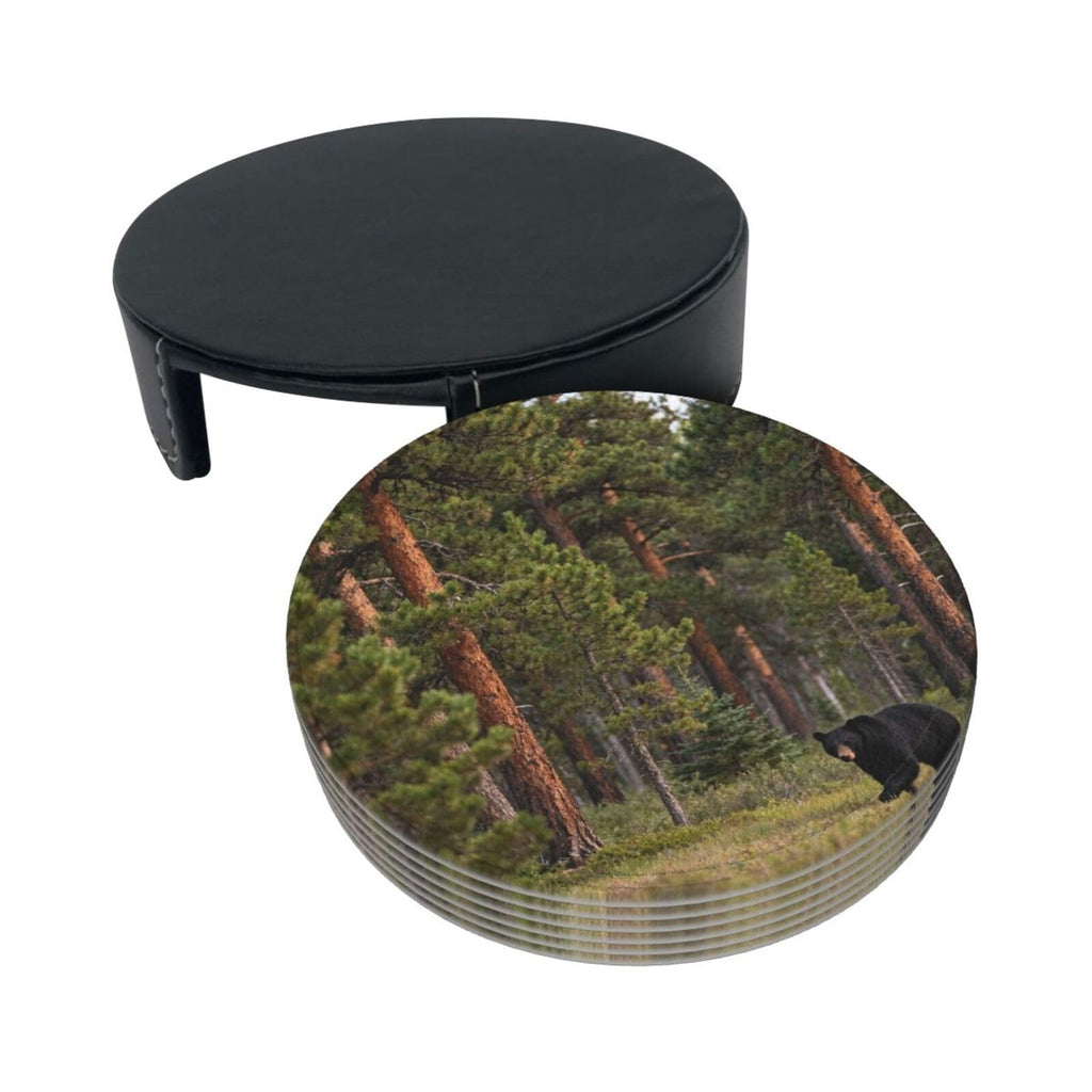 Black Bear Pattern Leather Coasters Set of 6 M886134