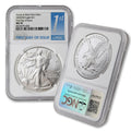 1 oz American Silver Eagle Coin I891939