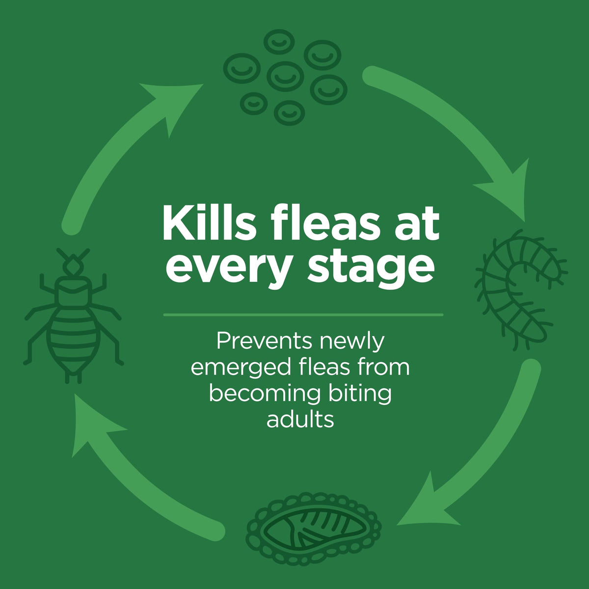 Flea and Tick Topical for Cats 3 Dose T36075