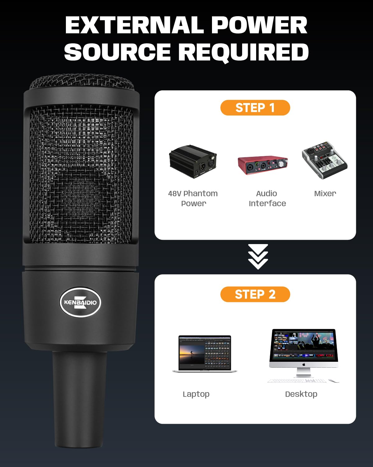 XLR Condenser Microphone with 26mm Large Diaphragm J176152