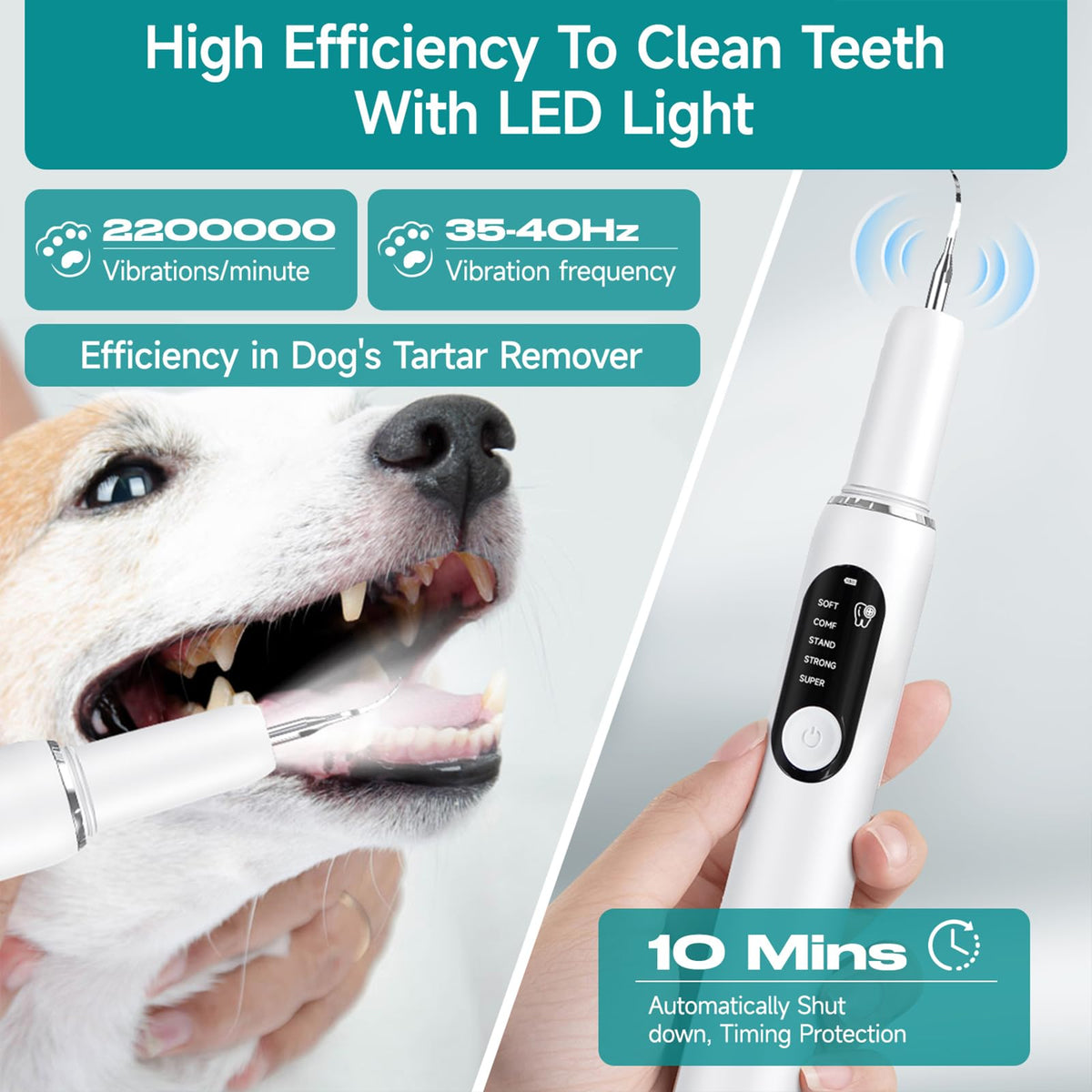 White Dog Teeth Cleaning Kit with LED Light Q258197