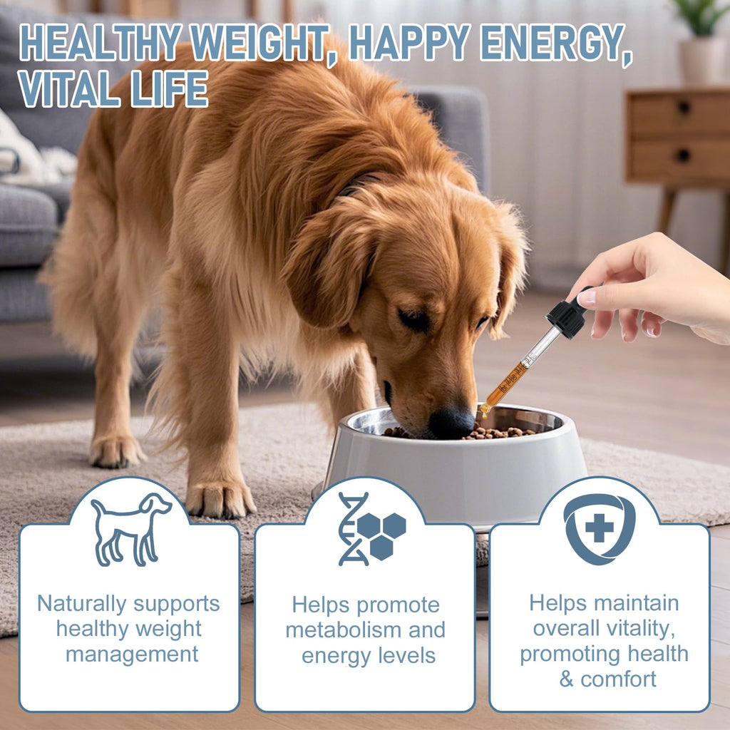 Dog Weight Management Drops N881