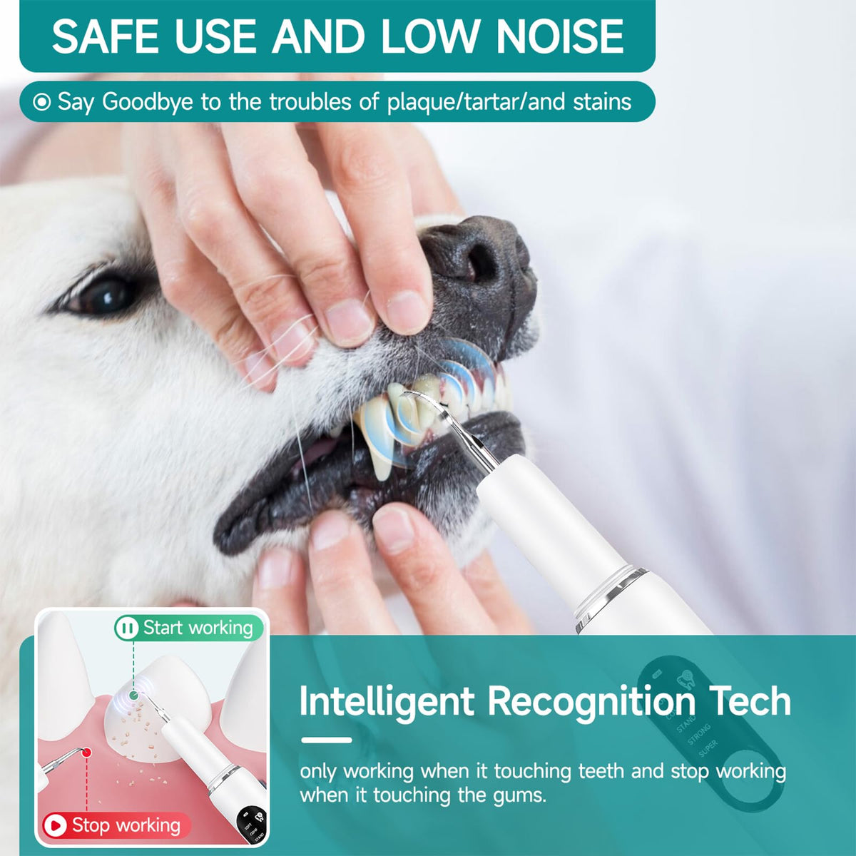 White Dog Teeth Cleaning Kit with LED Light Q258197