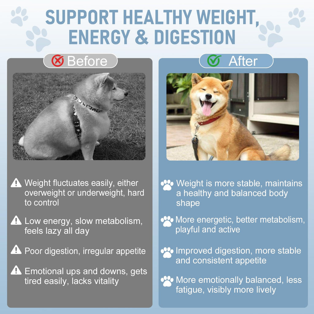 Dog Weight Management Drops N881