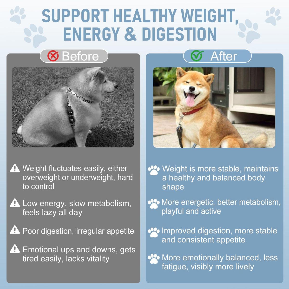 Dog Weight Management Drops N881