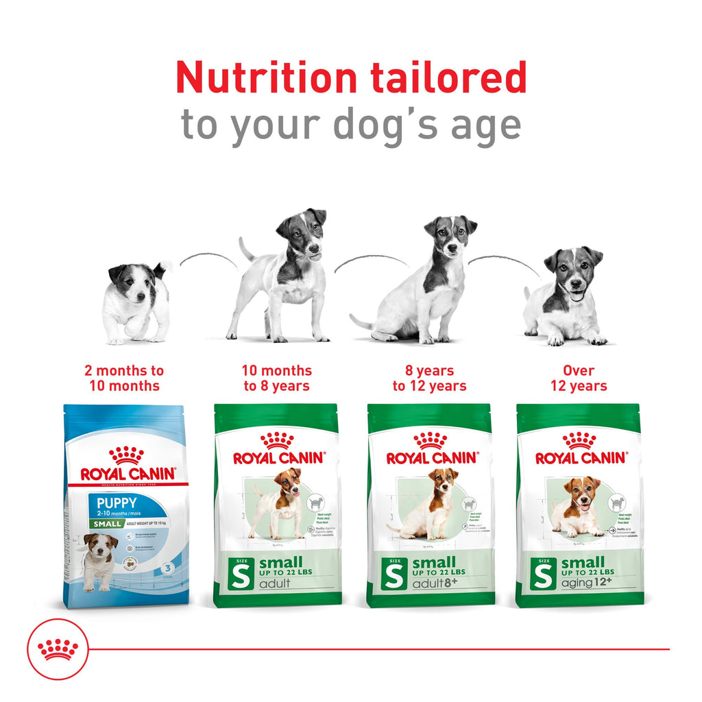Small Breed Dry Dog Food 14 lb Bag J542161