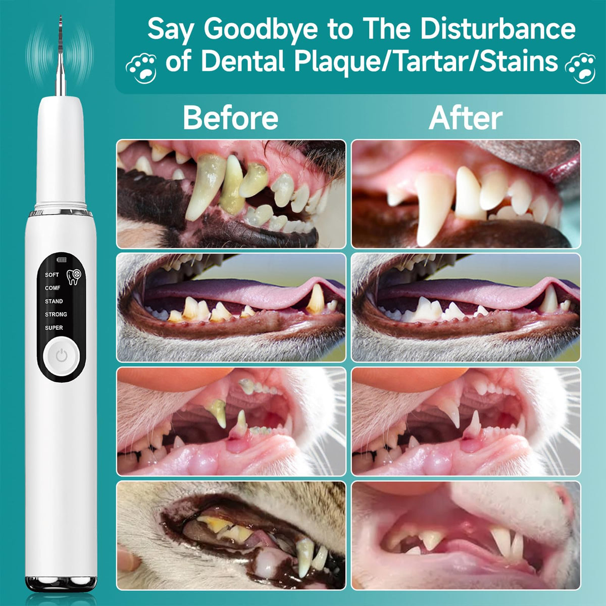 White Dog Teeth Cleaning Kit with LED Light Q258197