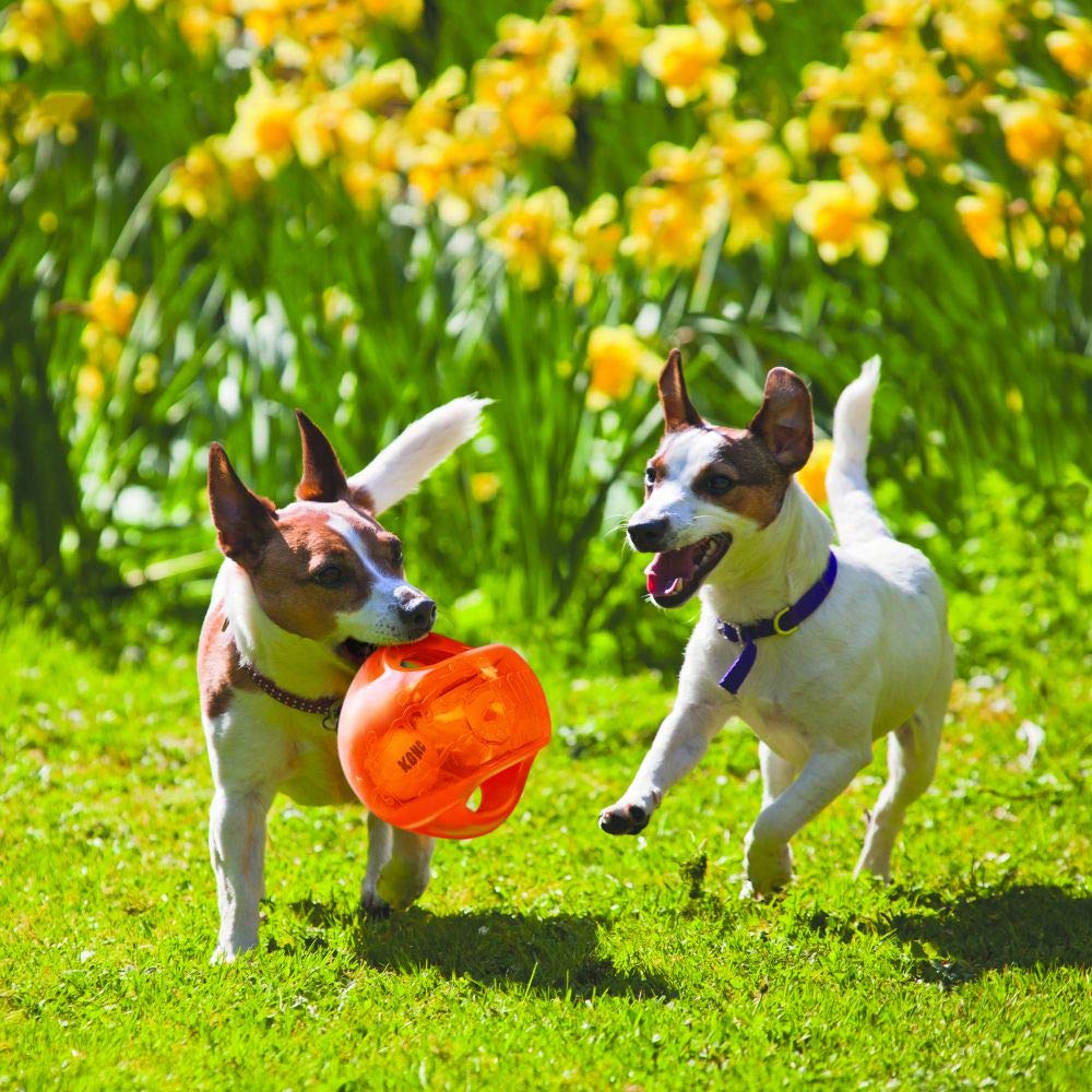 Interactive Fetch Ball for Medium Large Dogs B793