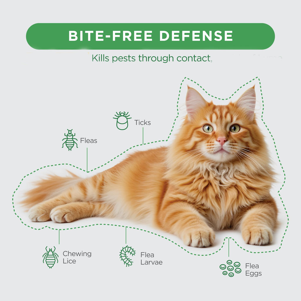 Flea and Tick Topical for Cats 3 Dose T36075