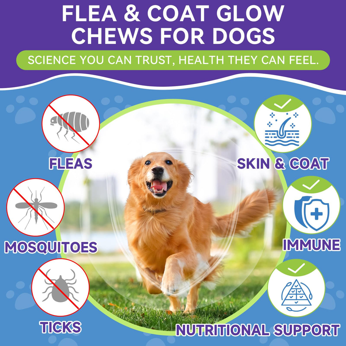 Flea and Tick Prevention for Dogs A62594