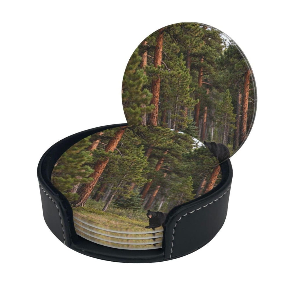 Black Bear Pattern Leather Coasters Set of 6 M886134