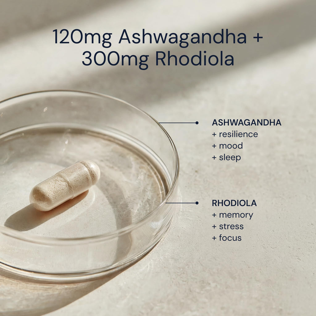 Ashwagandha & Rhodiola 120mg Adaptogen Capsules 30 Vegan Capsules X5008