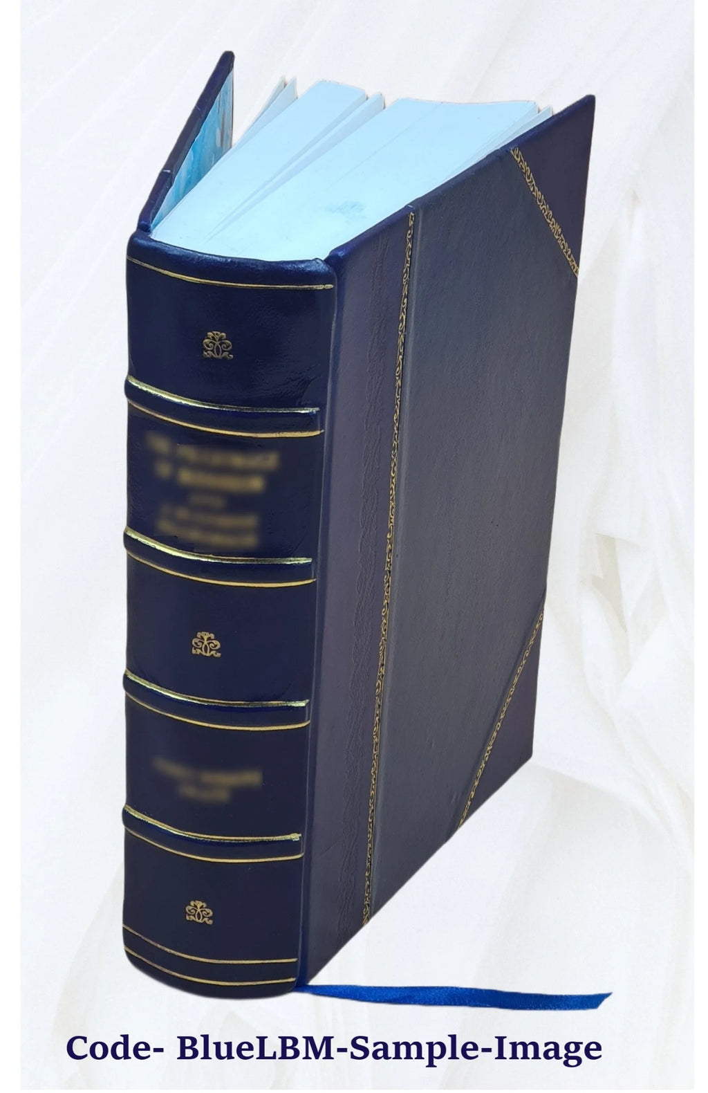 Leather Bound Book W345106