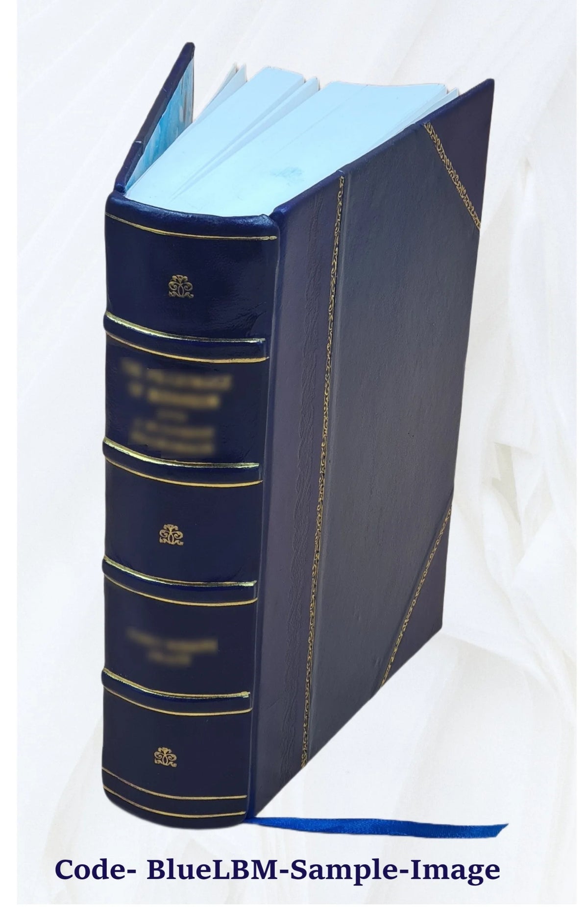 Leather Bound Book W345106