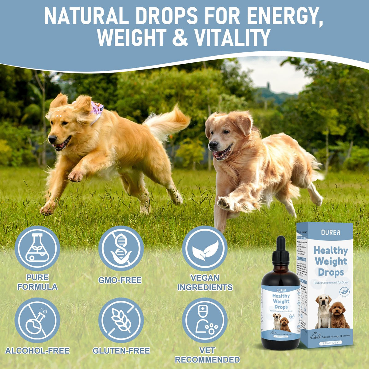 Dog Weight Management Drops N881