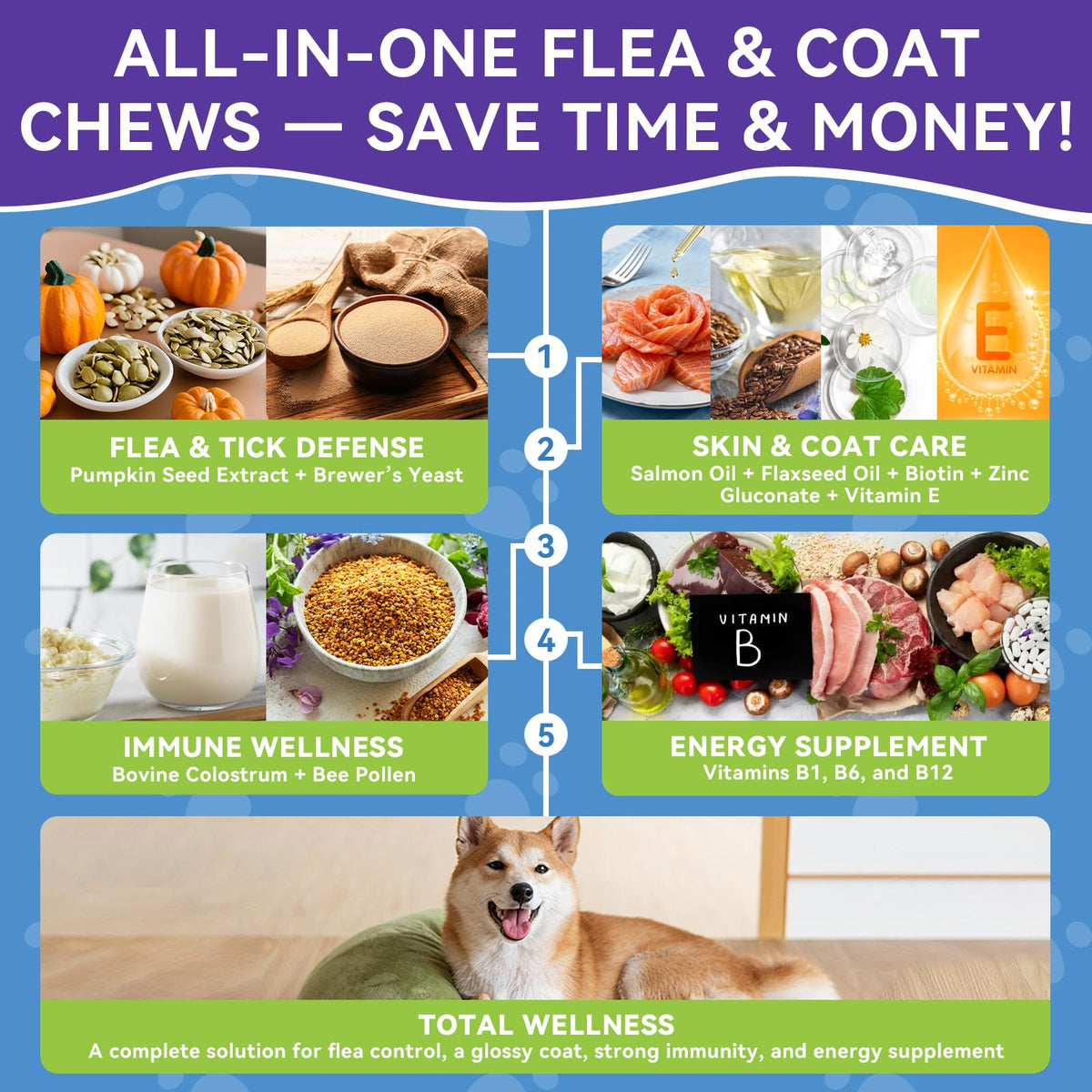 Flea and Tick Prevention for Dogs A62594