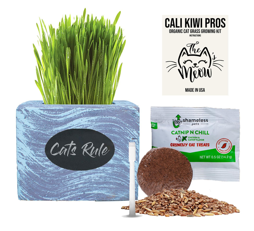 Organic Wheatgrass Seed & Soil Cat Grass Kit C57162