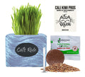 Organic Wheatgrass Seed & Soil Cat Grass Kit C57162