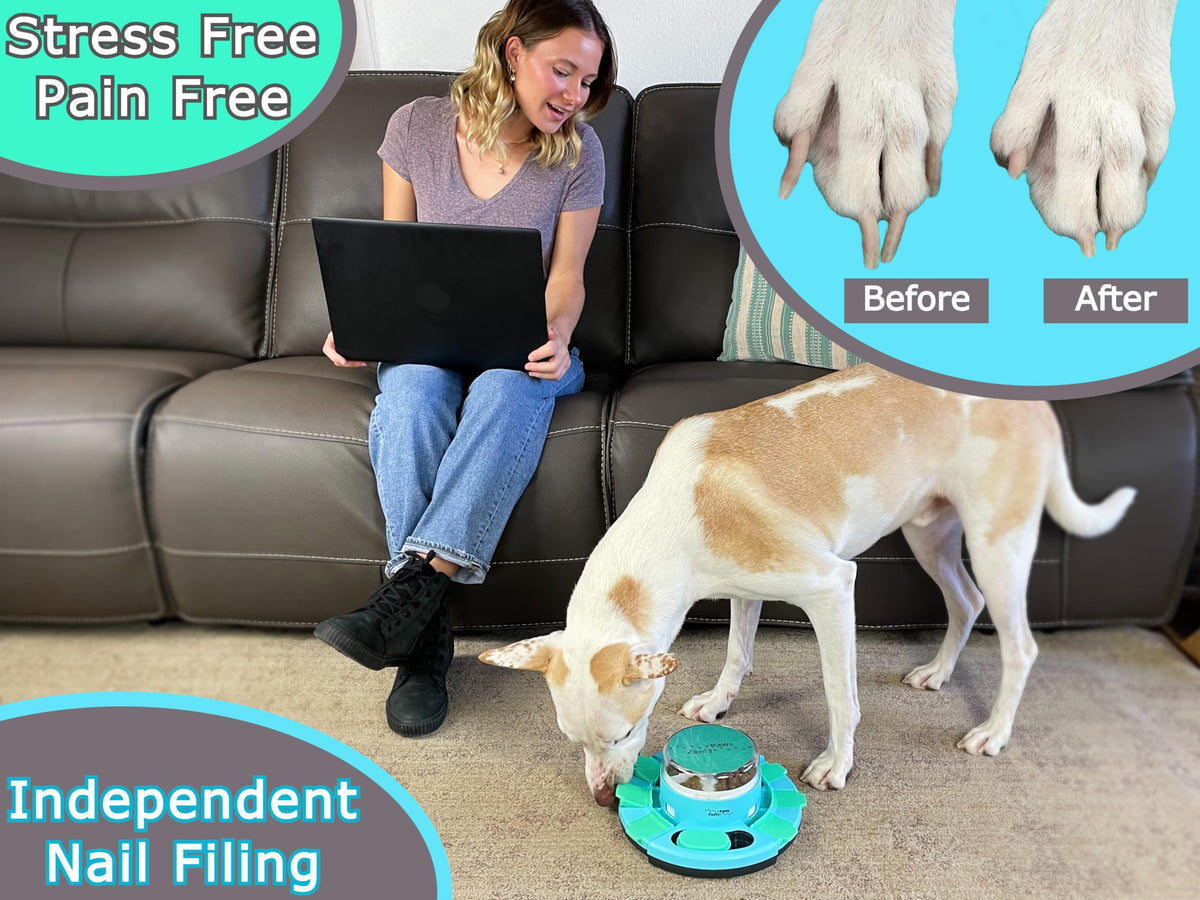 Dog Nail Scratch Board with Treat Dispenser G6697