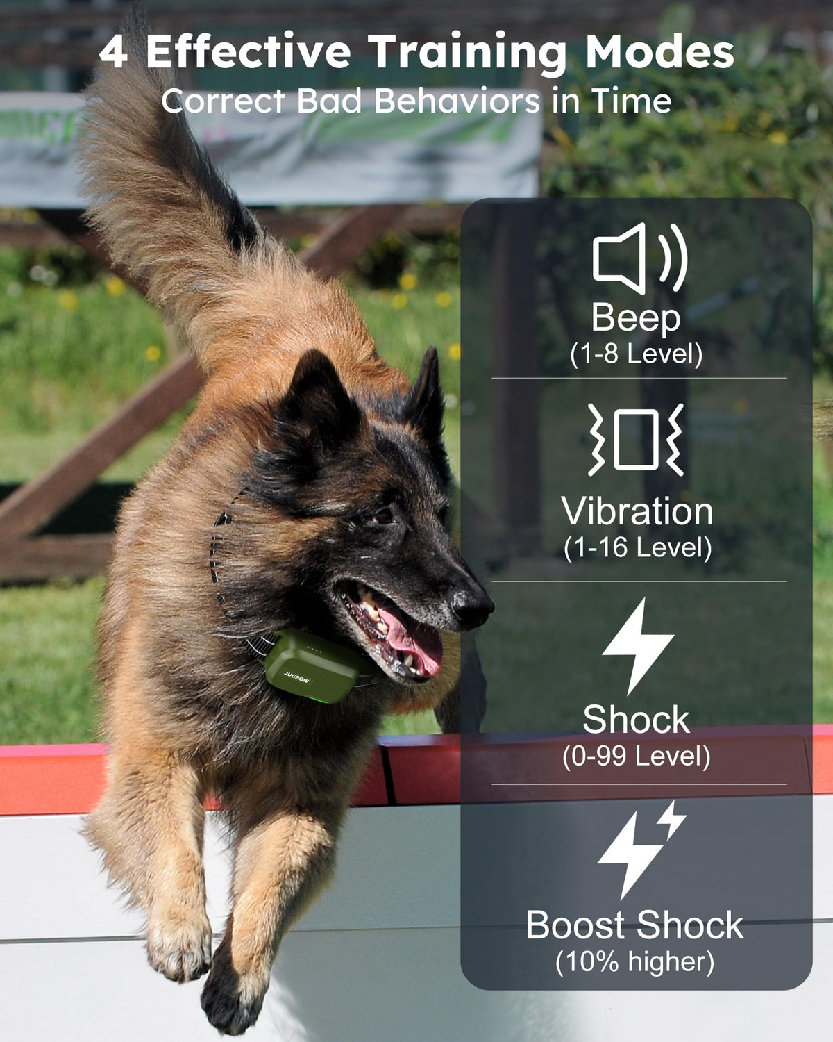 2 Dogs Shock Collar with Remote N31200