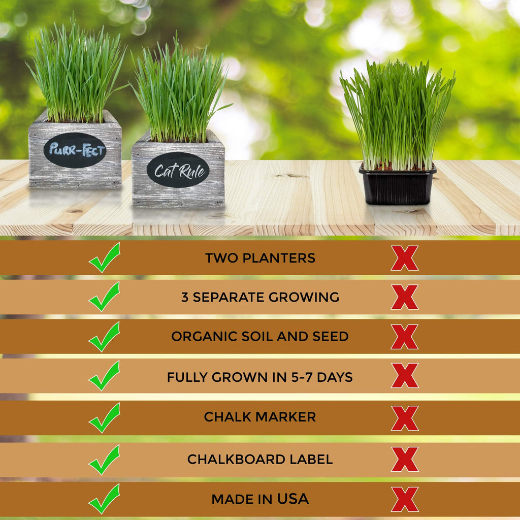 Organic Wheatgrass Seed & Soil Cat Grass Kit C57162