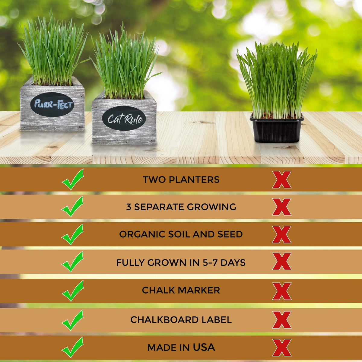 Organic Wheatgrass Seed & Soil Cat Grass Kit C57162