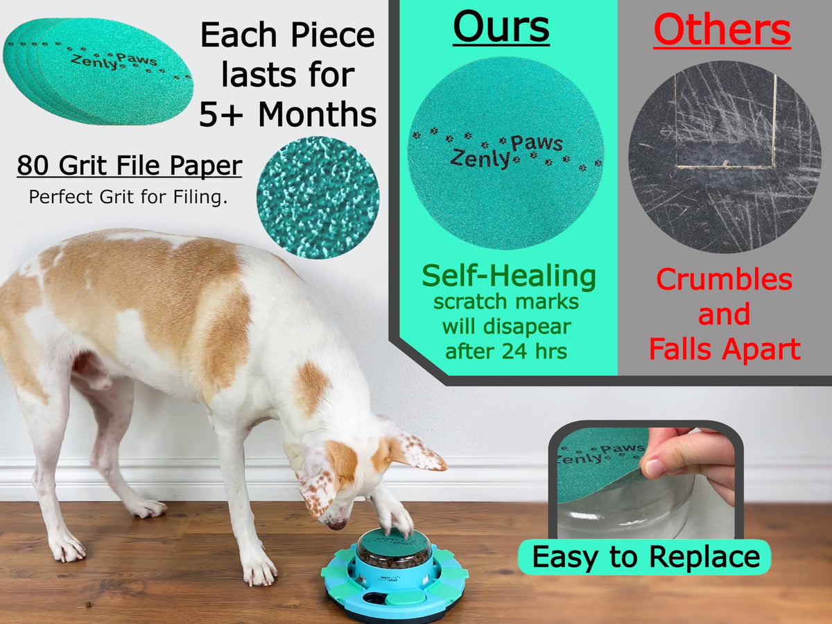 Dog Nail Scratch Board with Treat Dispenser G6697
