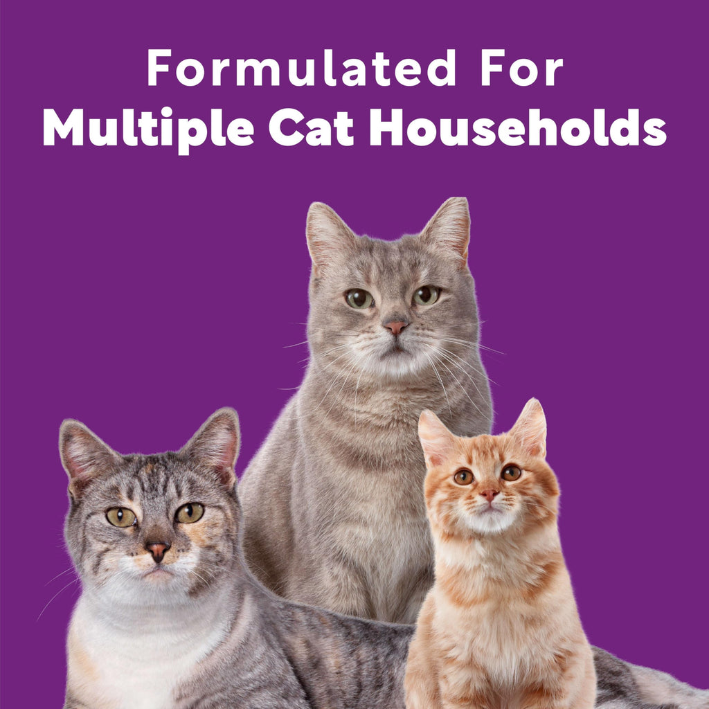 Multi Cat Litter Meadow Fresh Scent 14 lb U9624