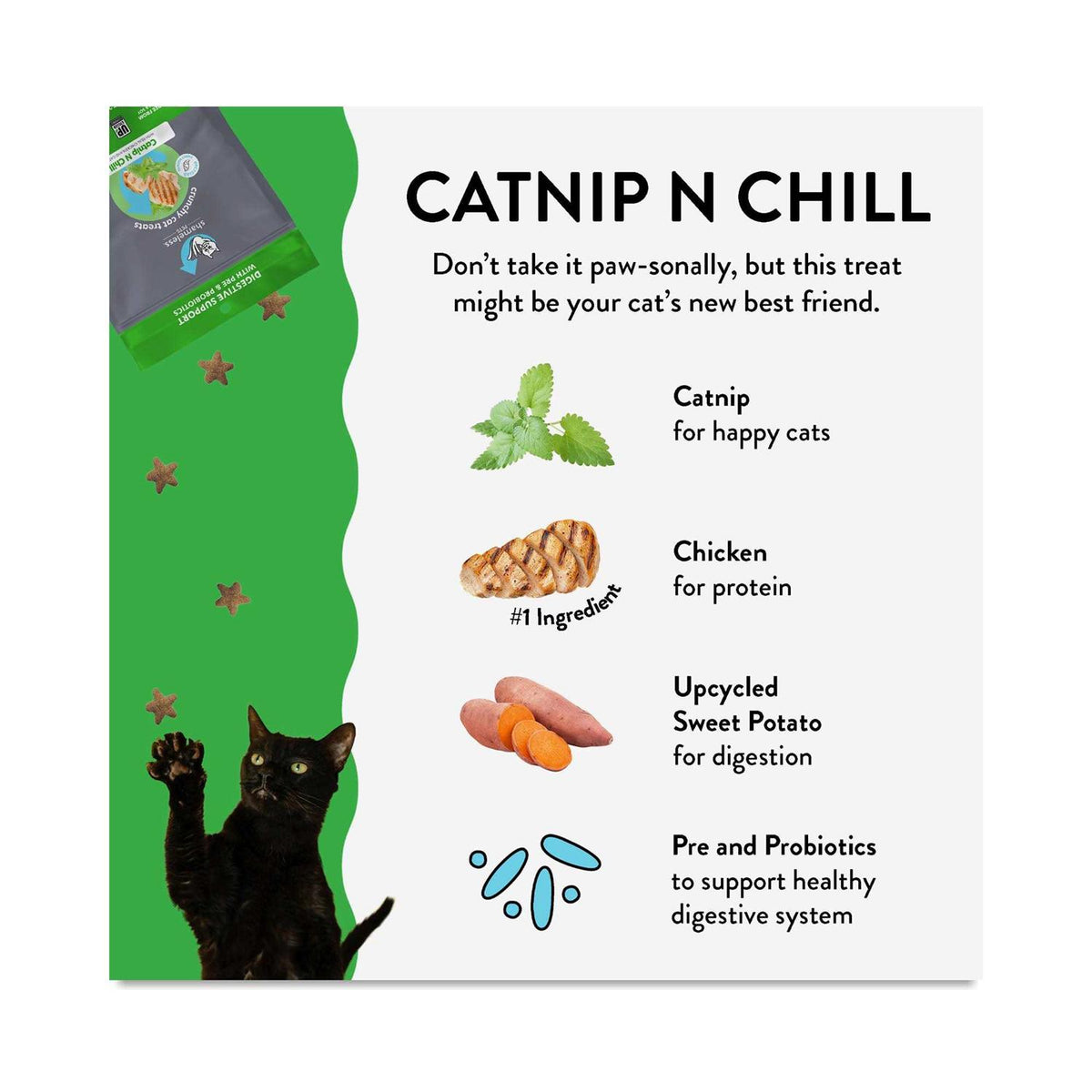 Crunchy Cat Treats V47317