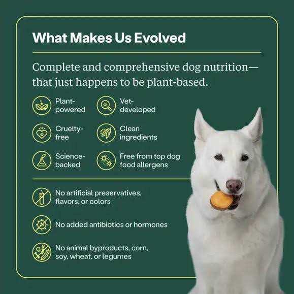 Dry Dog Food I9575