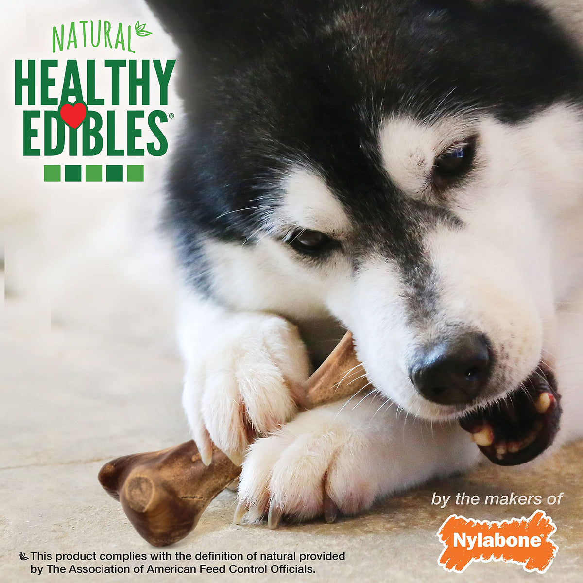 Large Ham Flavor Dog Treats O636