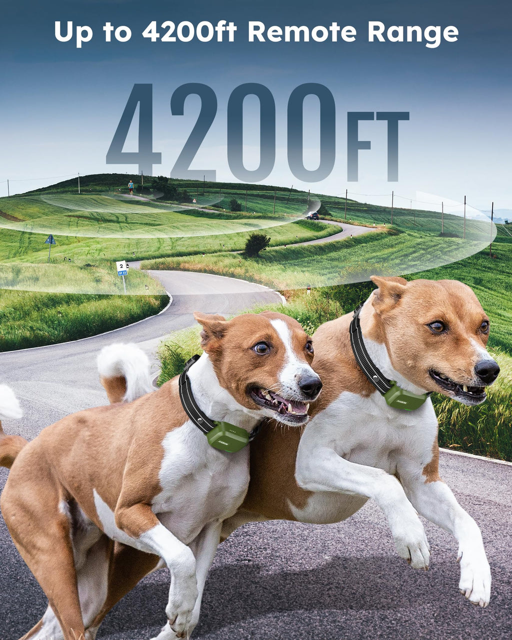 2 Dogs Shock Collar with Remote N31200