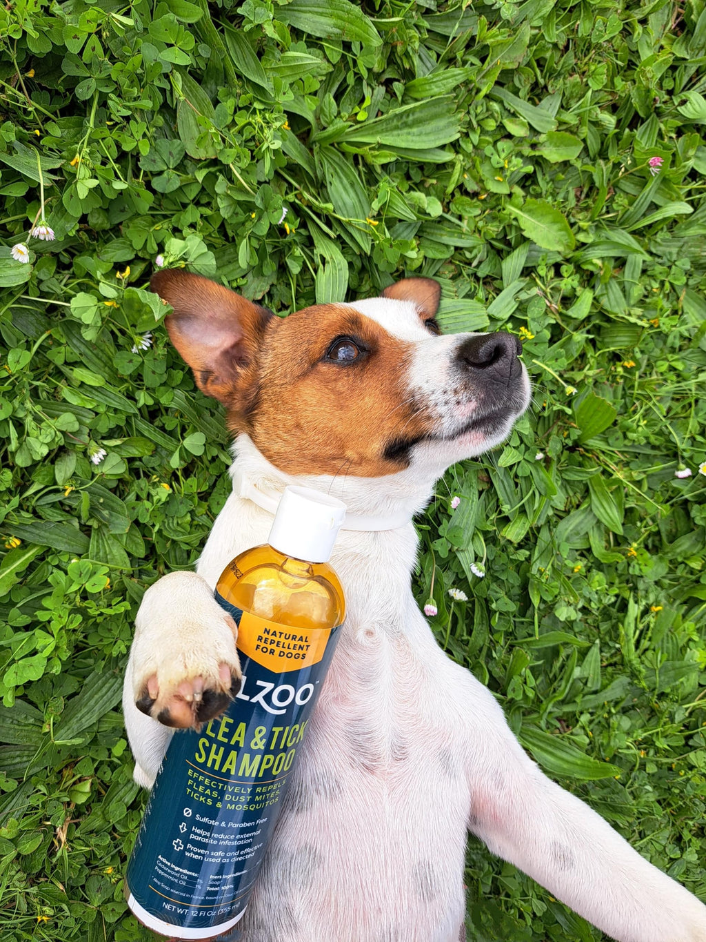 Plant Based Flea and Tick Repellent Dog Shampoo 12 Fl. Oz. D175515