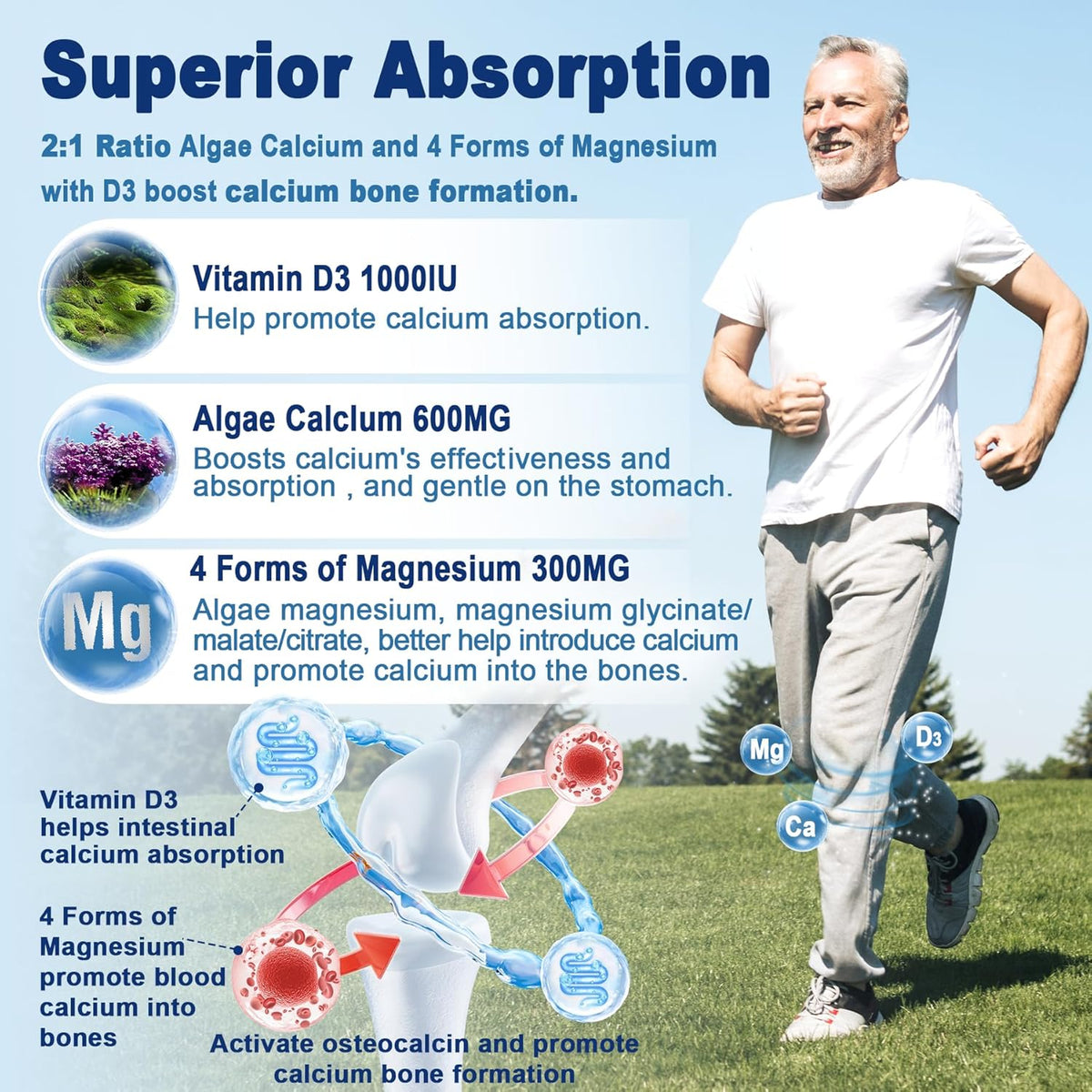 Calcium Supplement Gummy with Algae Calcium 600mg, Magnesium 300mg, Zinc, D3 & B12 Complex, 1Pack I56754