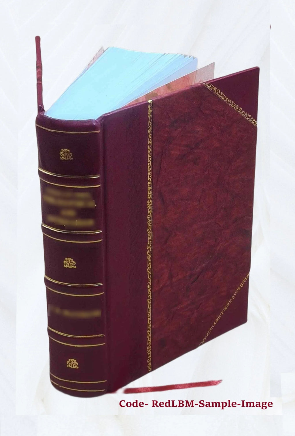 Leather Bound Book W345106