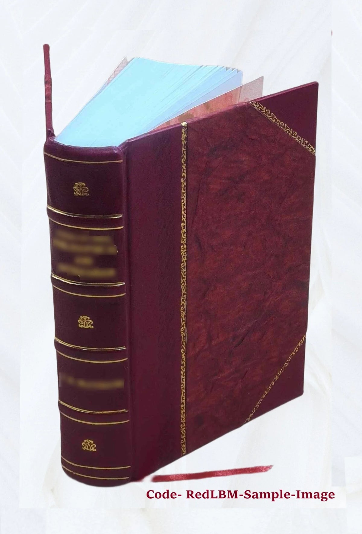 Leather Bound Book W345106
