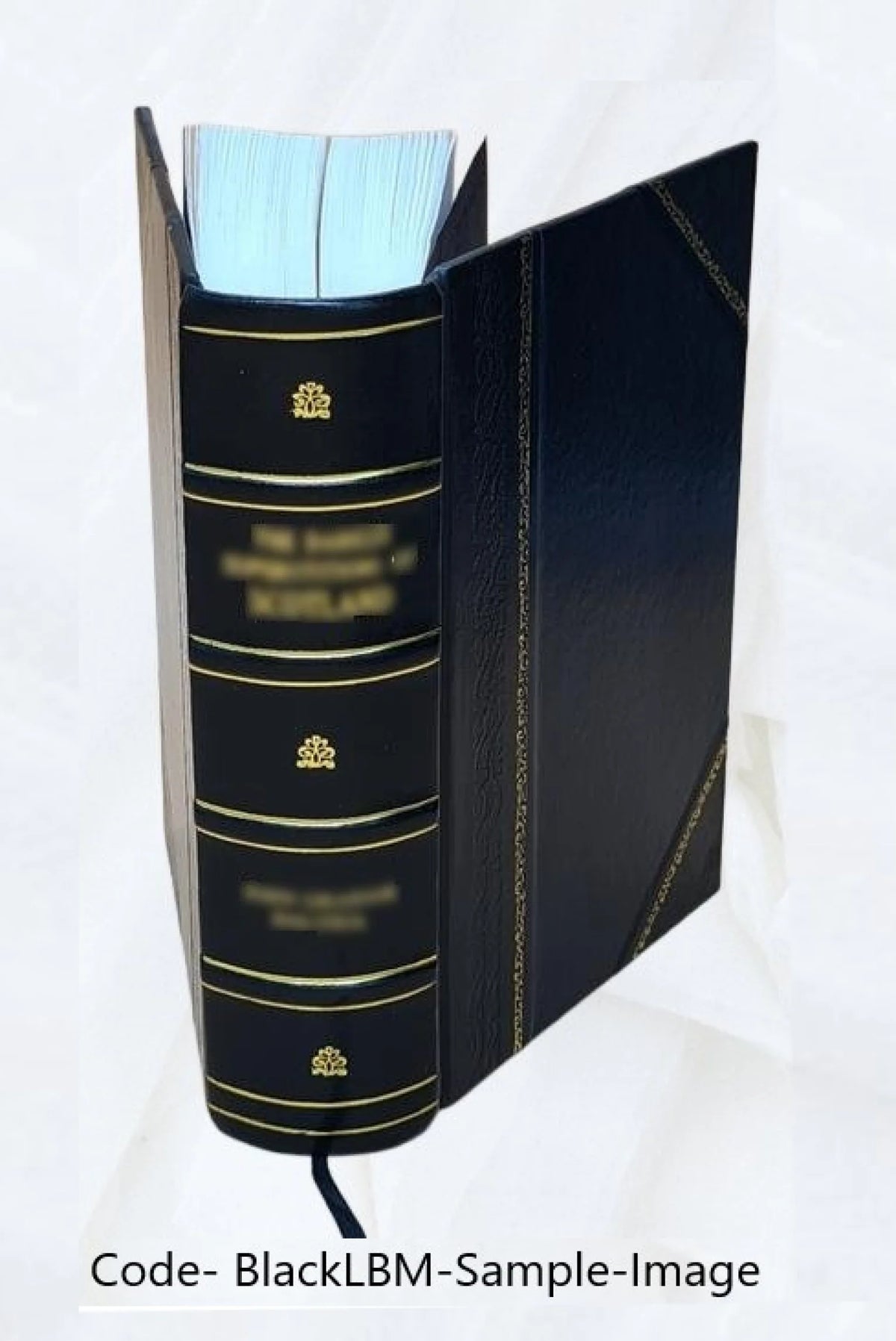 Leather Bound Book W345106