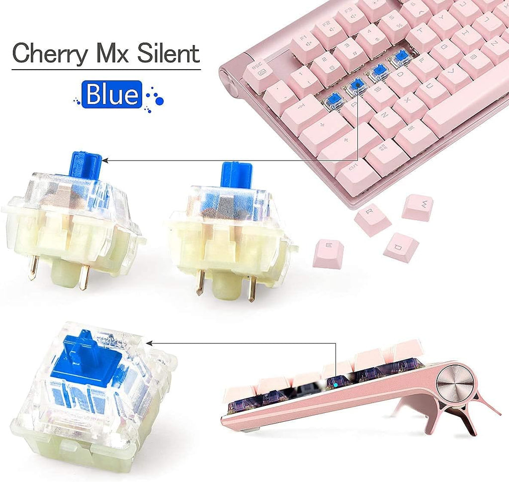 Cherry MX Speed Silver Switch 65 PCS Mechanical Keyboard Switch R990