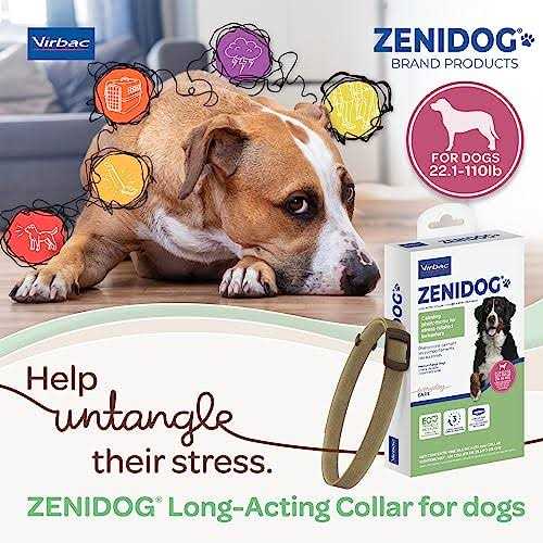 Long-acting Collar Medium/large Y594767